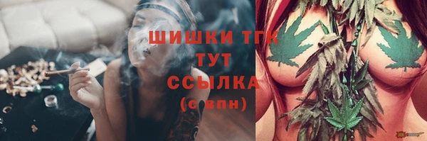 гидра Алексин