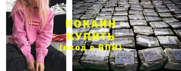 гидра Алексин