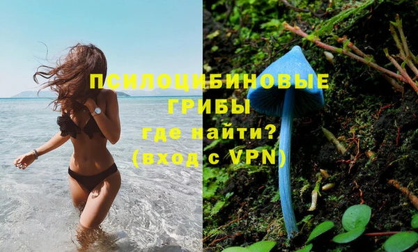гидра Алексин
