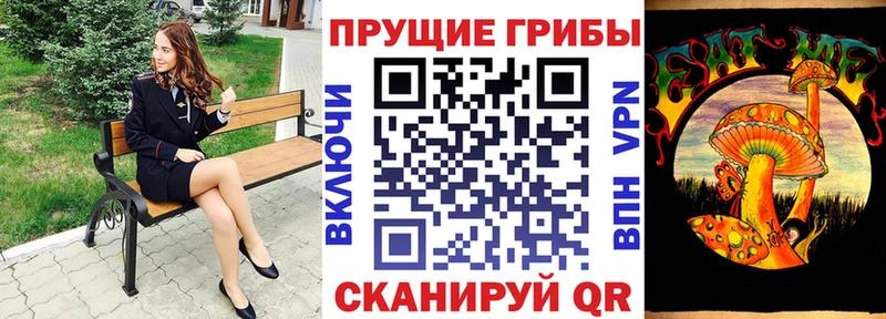 Псилоцибиновые грибы ЛСД  блэк спрут вход  Игра 
